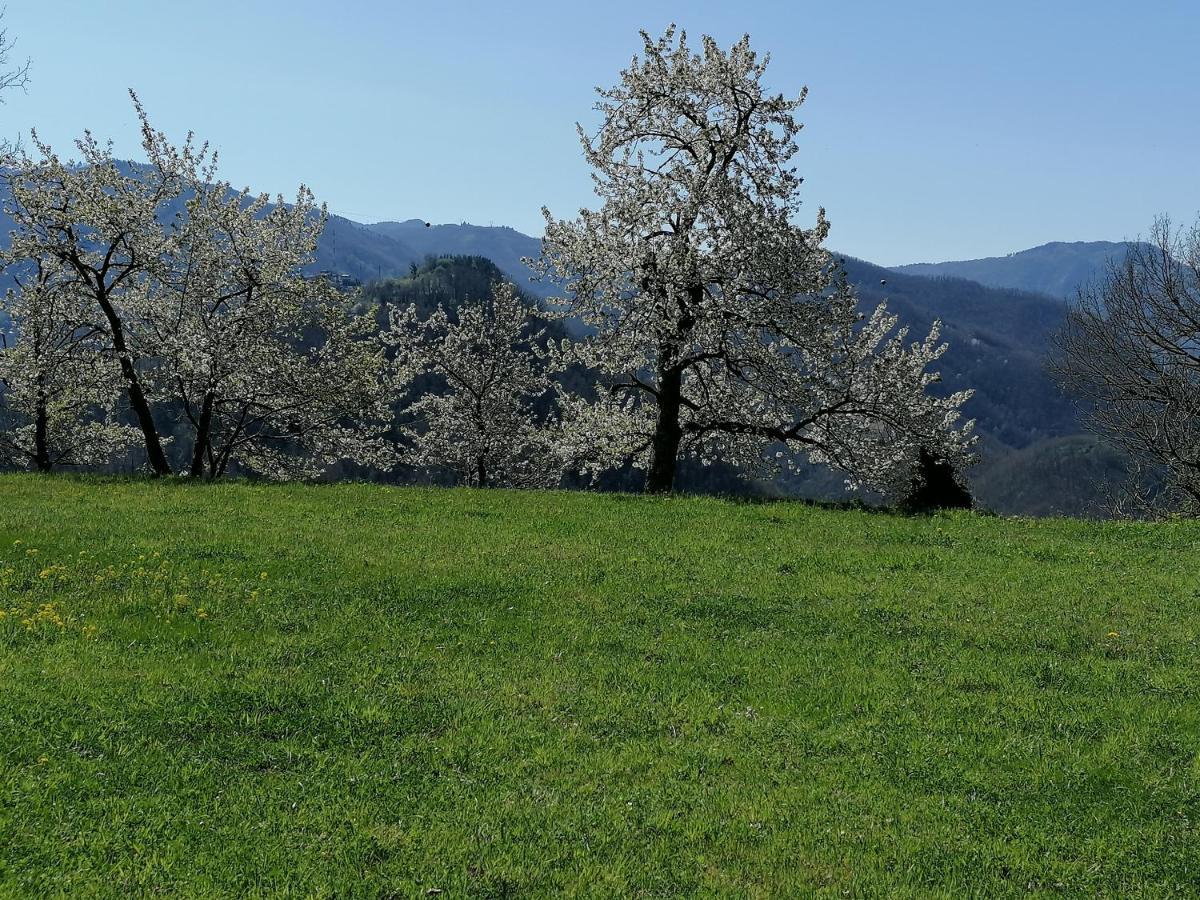 La Casa In Valli 35 Villa Bagni di Lucca Dış mekan fotoğraf