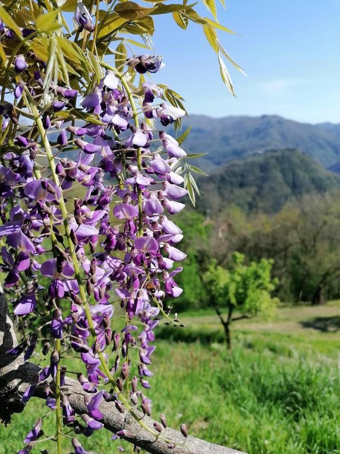 La Casa In Valli 35 Villa Bagni di Lucca Dış mekan fotoğraf