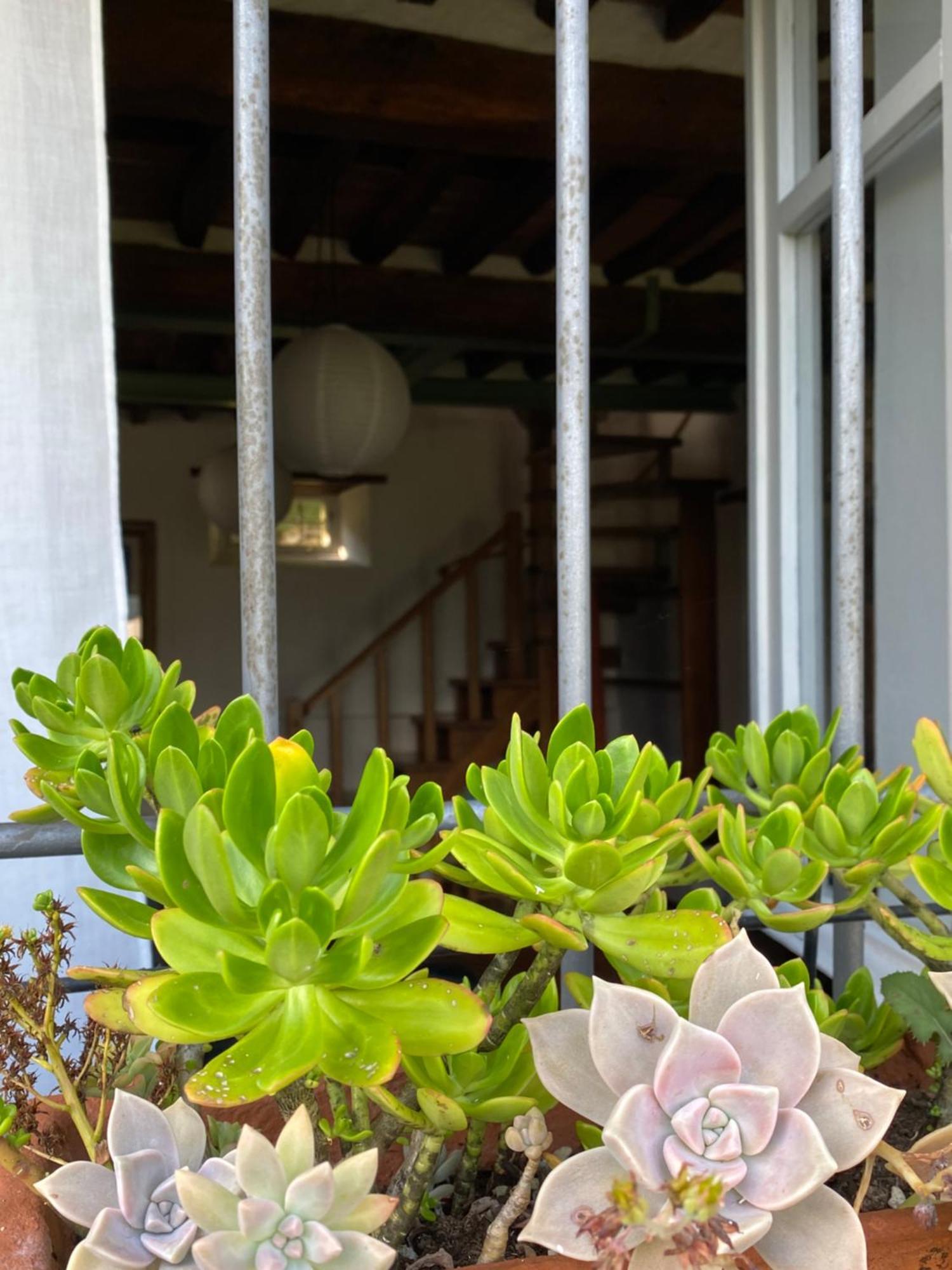 La Casa In Valli 35 Villa Bagni di Lucca Dış mekan fotoğraf